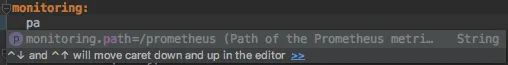 IntelliJ configuration properties intellisense